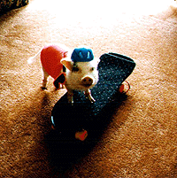 Nellie @ Age 3 Hangs 4