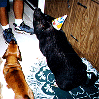 I'm sitting Uncle Sony